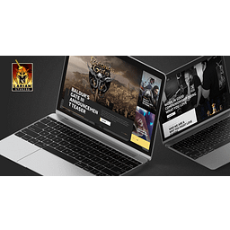 Giochi Larian Studios
